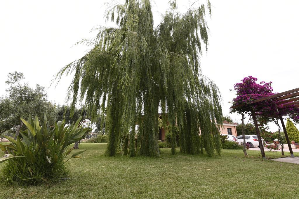 La Casa Dei Sogni Bed and Breakfast Syracuse Buitenkant foto